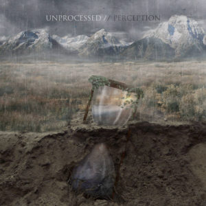 unpocessed-perception-cover-art